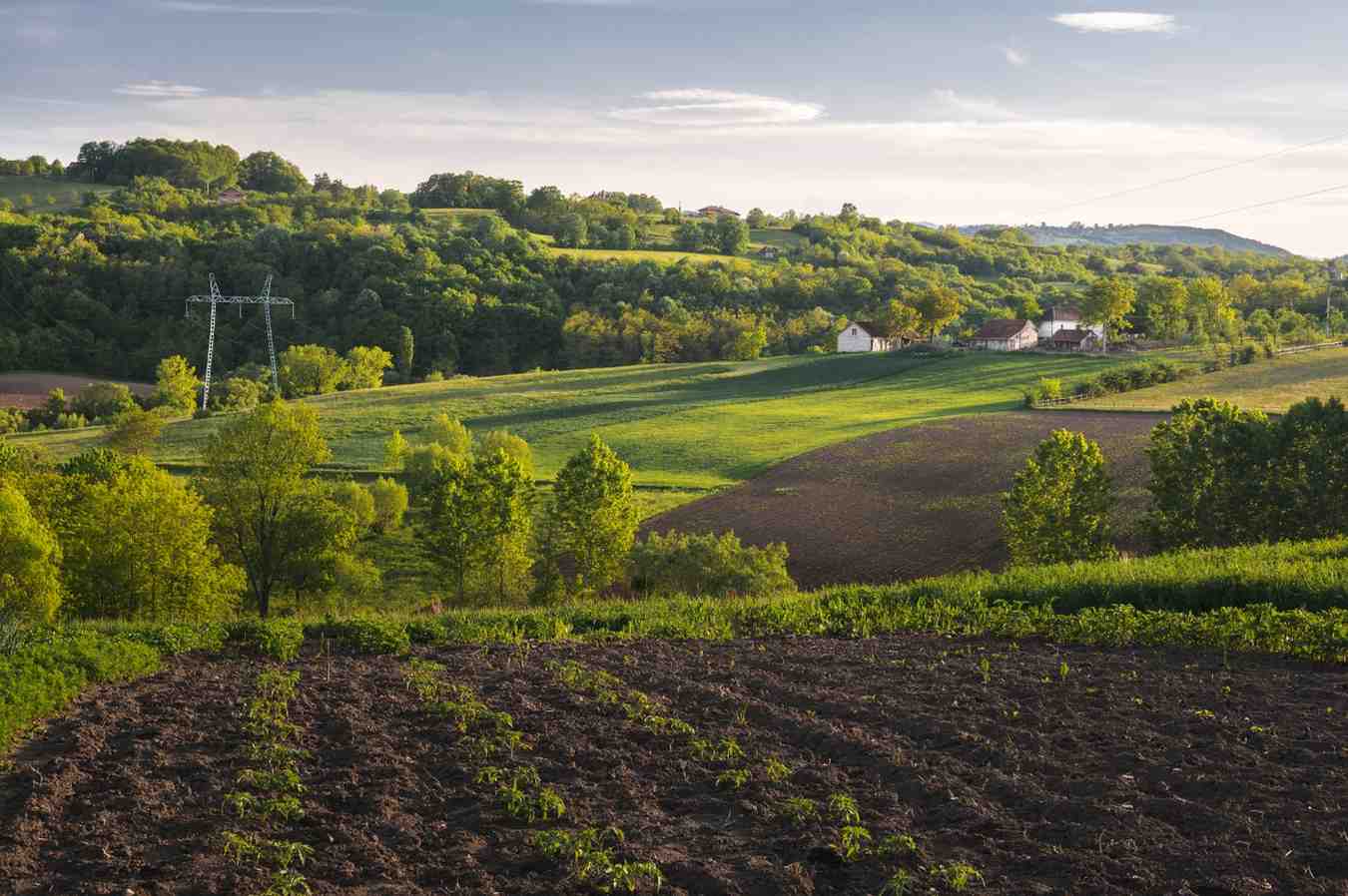 Farm Plots